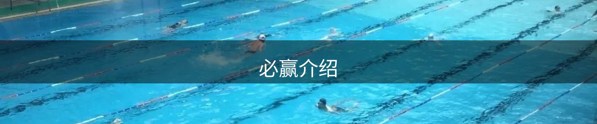 必赢介绍